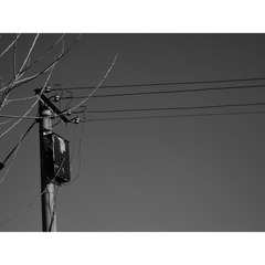 56425D70-7284-4DB7-985E-BE9BAEBC9A84/L0/001
