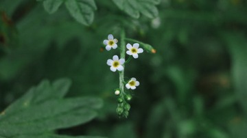 A12C0029-39DD-42CD-8D4B-EEE8E81E2EF3/L0/001