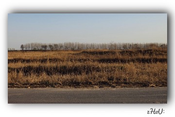 DE1599ED-9624-484F-BD05-10E58AF0320B/L0/001