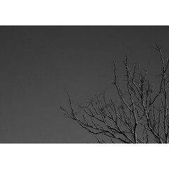 378DFF4A-51F0-4AB7-84D4-82BE9CAD873D/L0/001