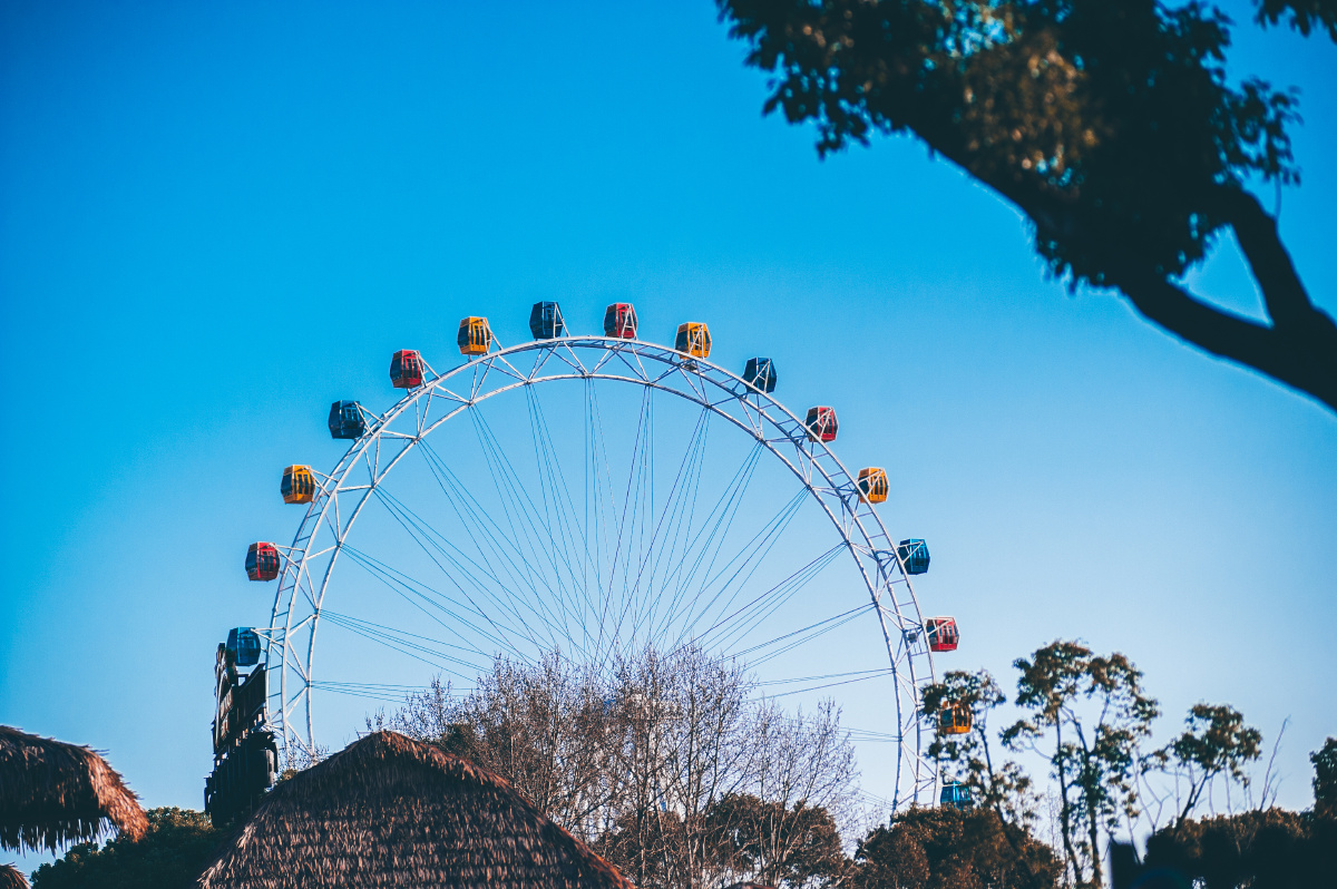 七彩摩天轮上海野生动物园
