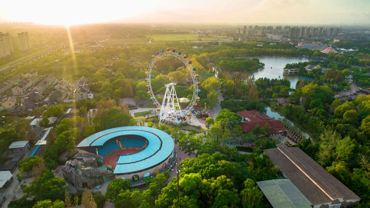 国庆假期上海野生动物园