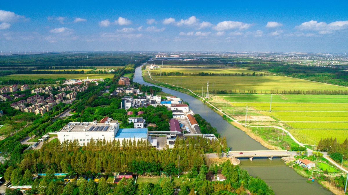 20211003奉贤平安镇风貌