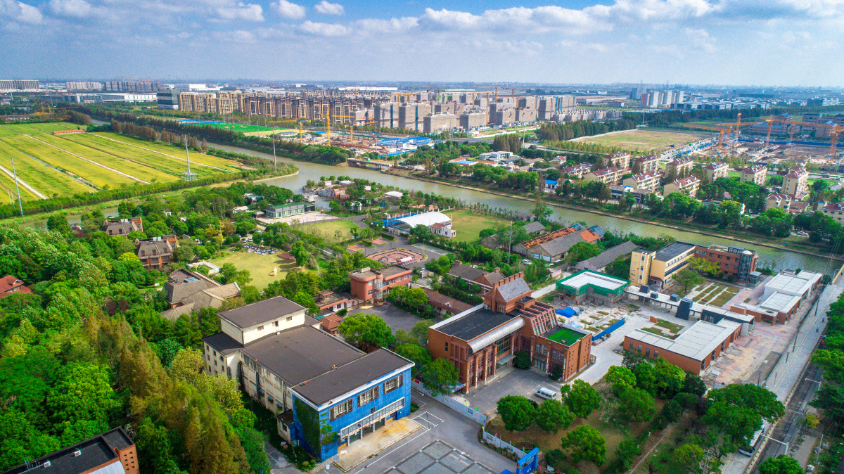 20211003奉贤平安镇风貌