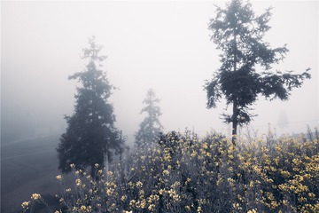 1129764