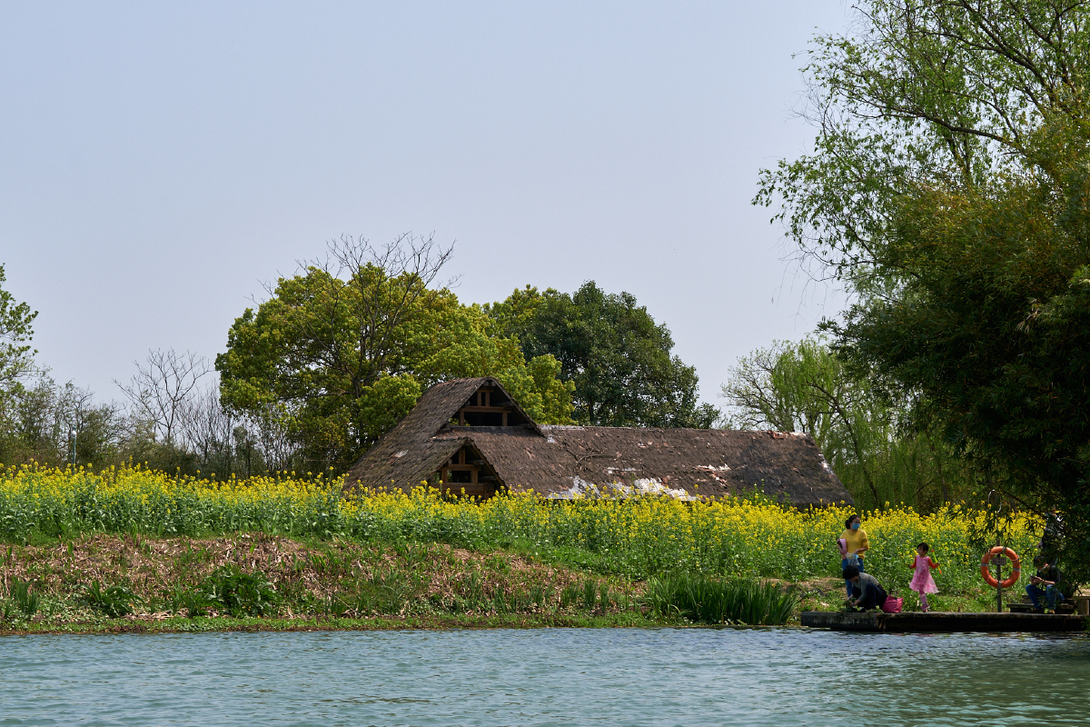 杭州.西溪湿地公园 - 贾永生