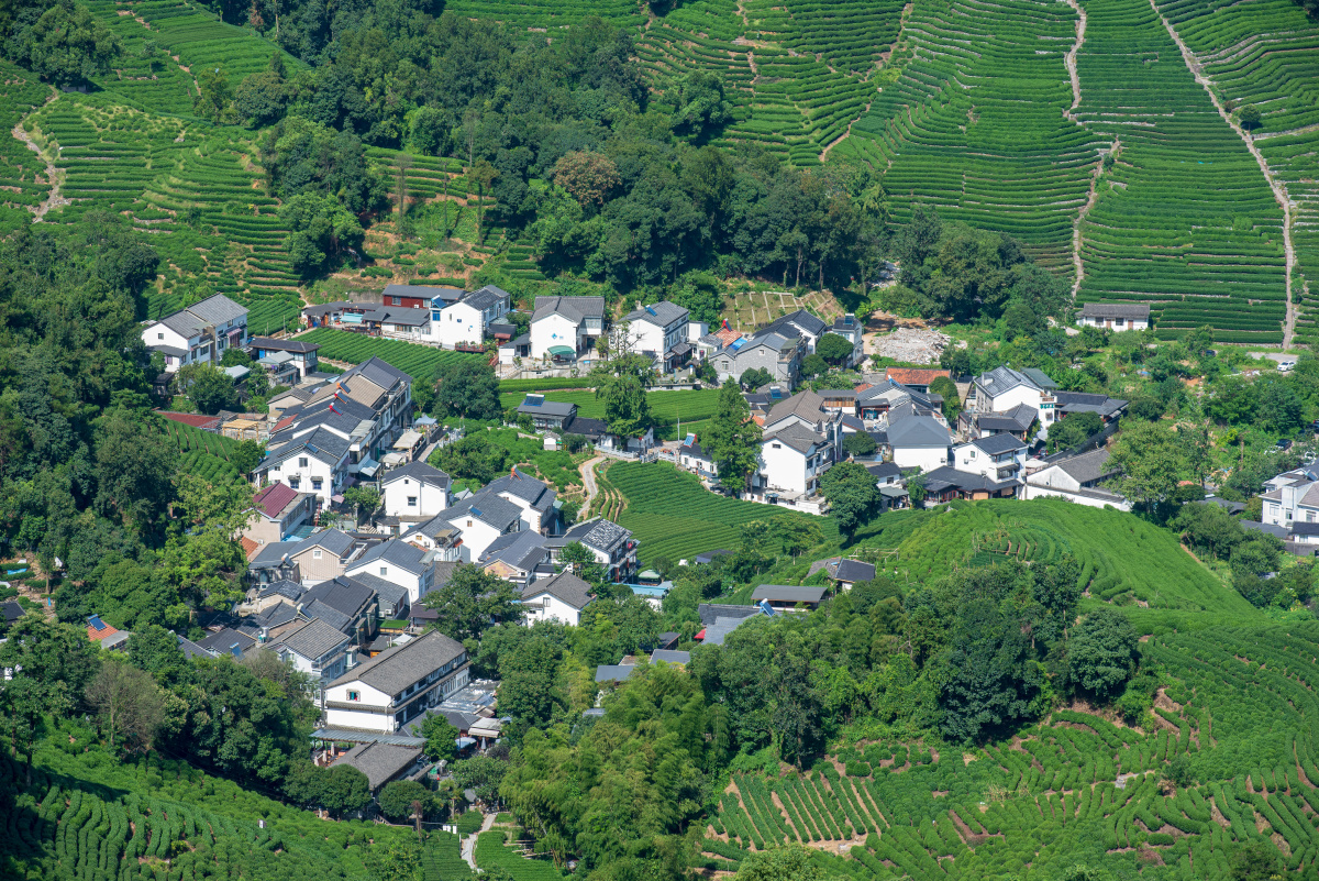 杭州西湖龙井村俯瞰龙井村