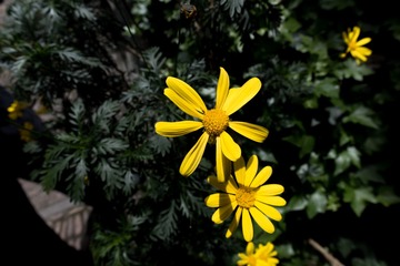 9192B0F9-6D5B-4F43-B2BB-BBD910670F0E/L0/001