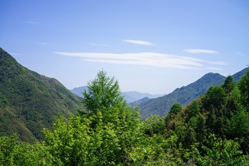 40EDFBDC-AF75-42DA-9CA5-12305D67A70C/L0/001