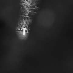 1000039302