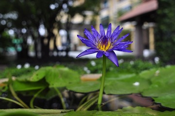 _DSC0023