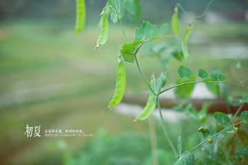 _DSF3304