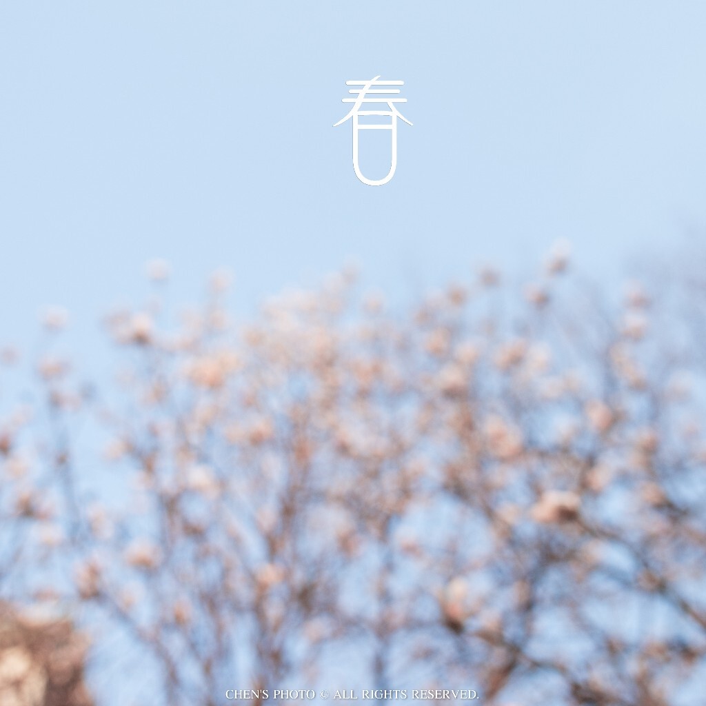 桃花一簇开无主,可爱深红爱浅红?