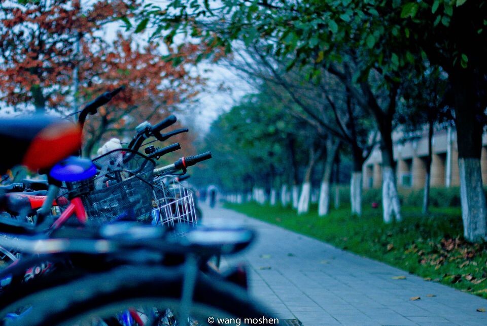 IMG_3996-3<br />
