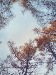 IMG_7756 (8)