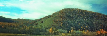 IMG_7923 (29)