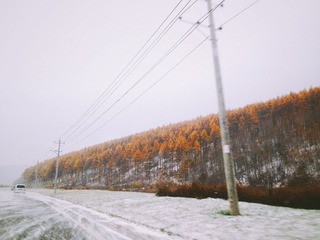 KVIK0642