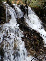 IMG_20161104_081437