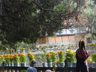 P1010042
