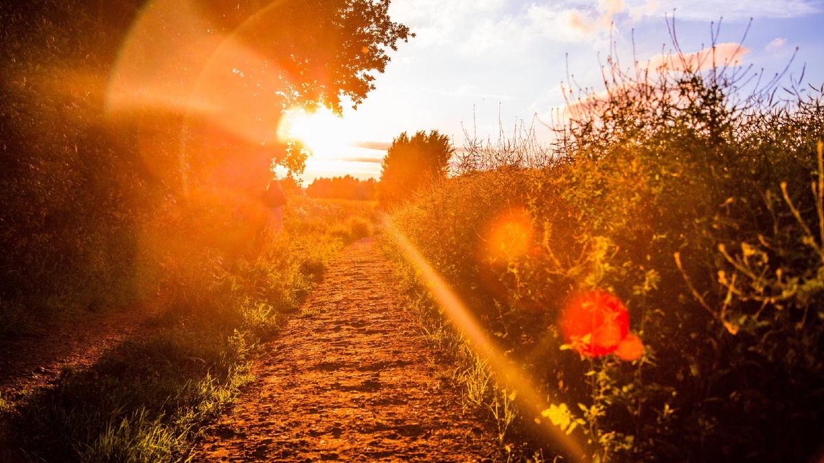 收藏的一组优秀作品往日时光