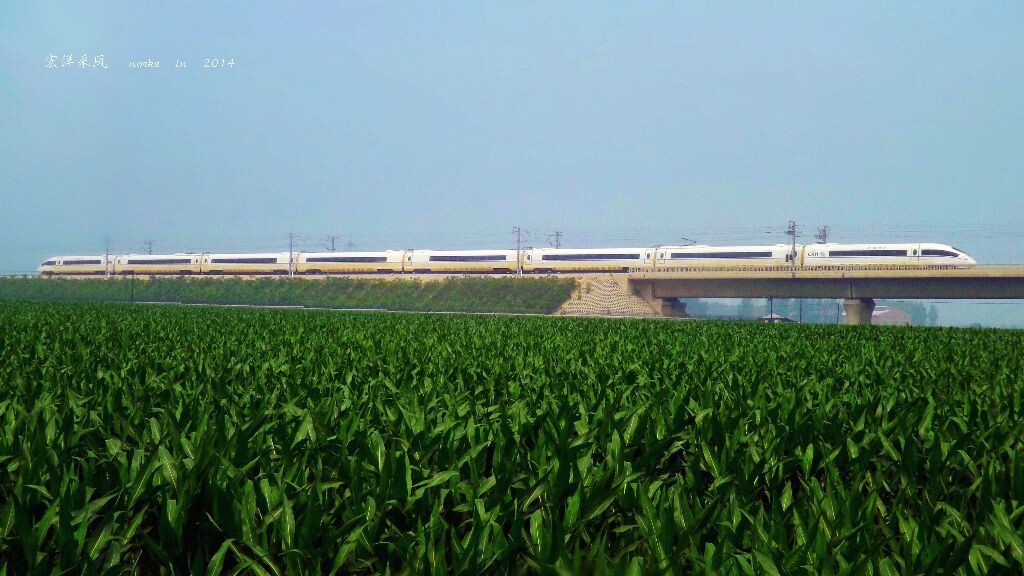田地里的守候