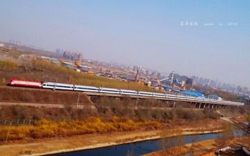 DSCF8351__