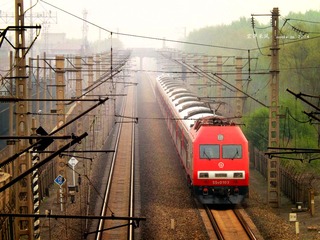 DSCF8492__