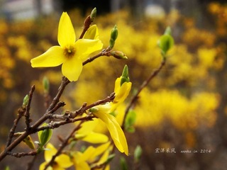 DSCF8403_