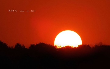 DSCF8896__