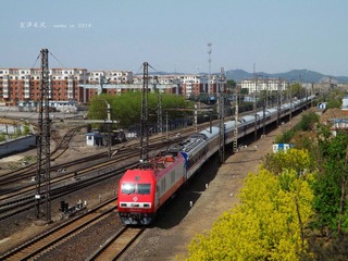 DSCF8810_