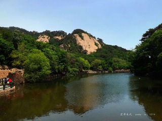 DSCF9684__