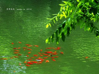 DSCF9693_