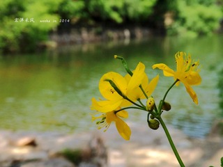 DSCF9688_