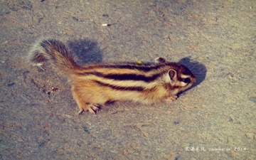 DSCF9771_