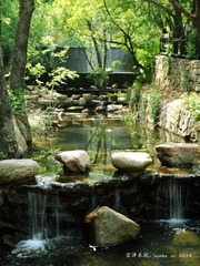 DSCF9721_