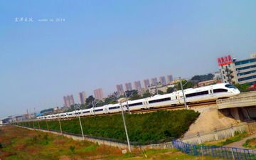 DSCF0263_