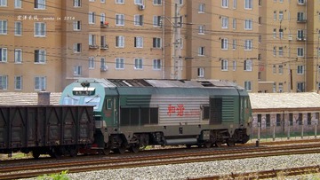 DSCF0317_