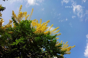 IMG20140621004_