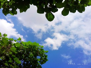 IMG20140621011_