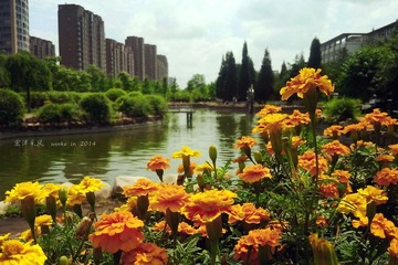 IMG20140621025_
