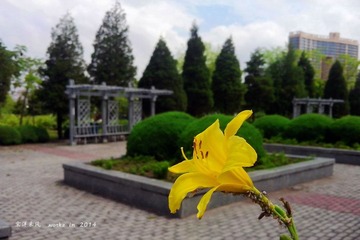 IMG20140621036_