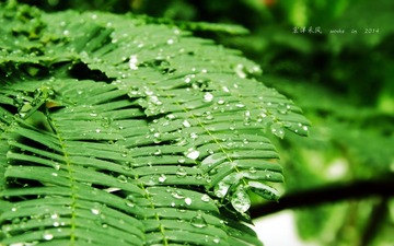 DSCF0889__