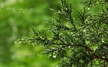 DSCF0841_