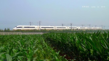 DSCF0921__