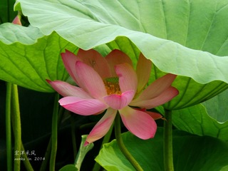 DSCF1137_