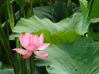 DSCF1147_