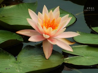 DSCF1145_
