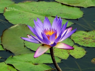 DSCF1146_