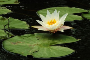 DSCF1148_