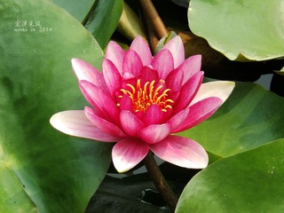 DSCF1140_